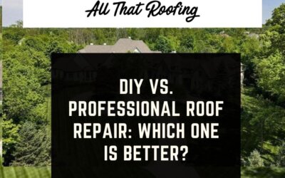 DIY vs. Professional Roof Repair: Which One is Better?