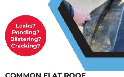 Common Flat Roof Problems: Signs You Need a Repair