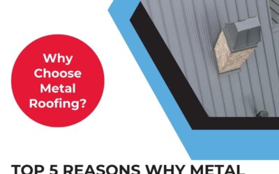 Top 5 Reasons Why Metal Roofs Are Appealing to Homeowners